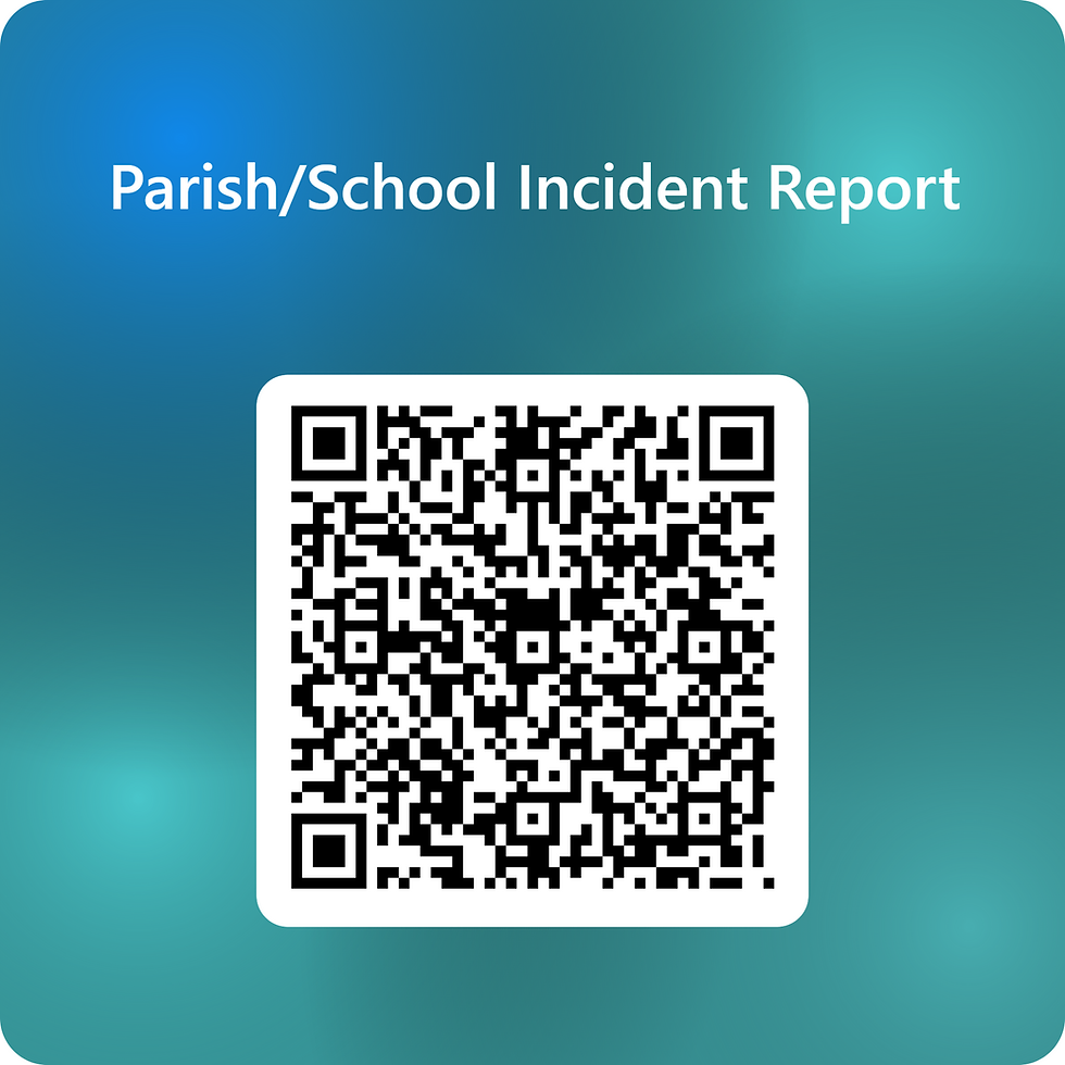 S&S Incidents.png